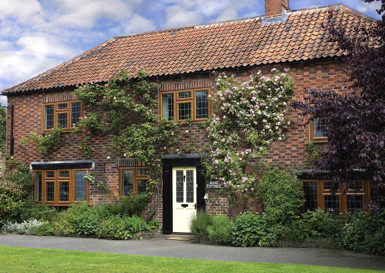 Bed & Breakfast Rose